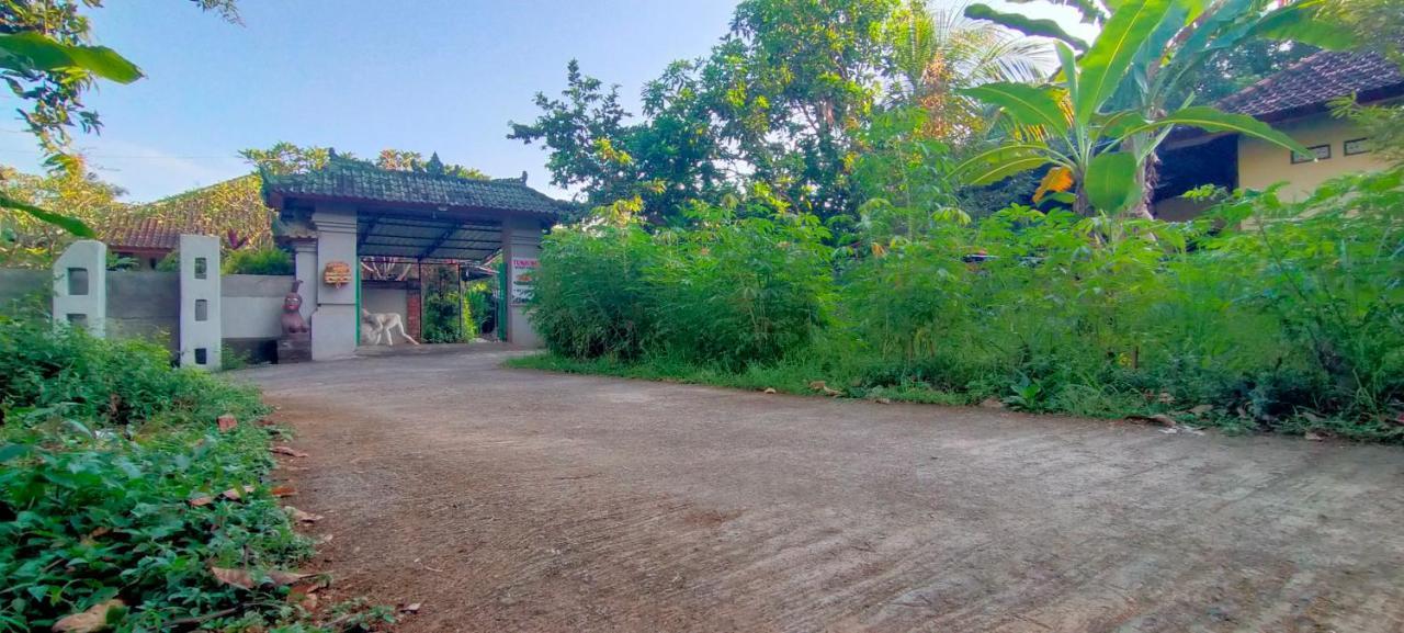 Tunjung Guest House Lovina Beach بوليلينغْ المظهر الخارجي الصورة
