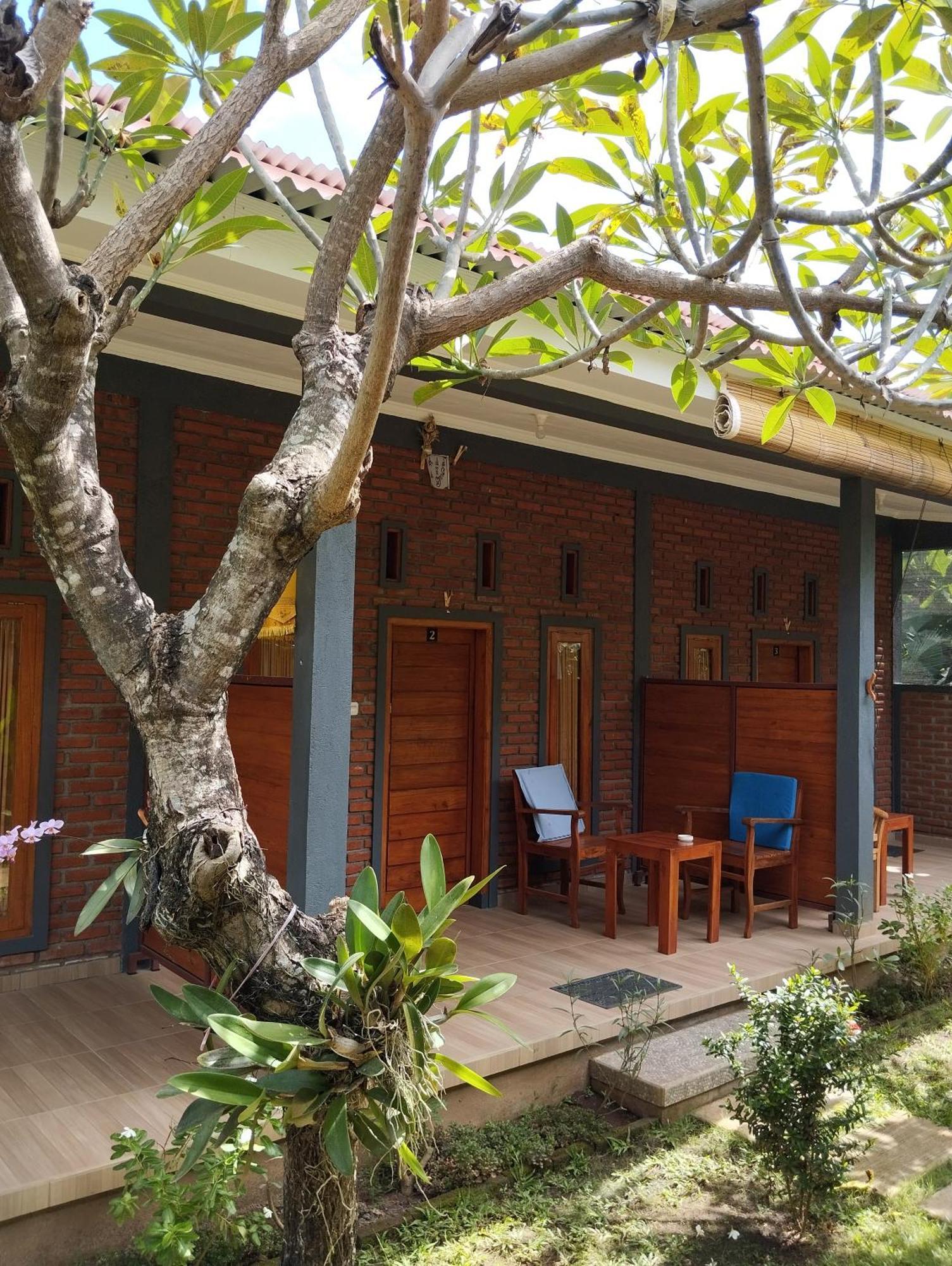 Tunjung Guest House Lovina Beach بوليلينغْ المظهر الخارجي الصورة